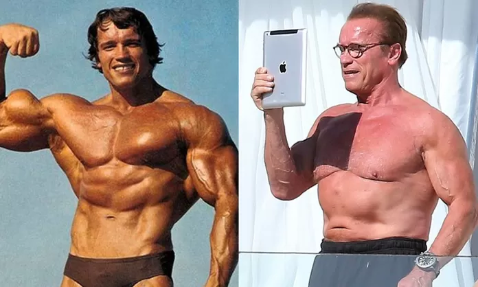 El Terminator Arnold Schwarzenegger Cuerpo Completo TERMINATOR: EL